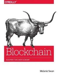 risnedsättning Bitcoin